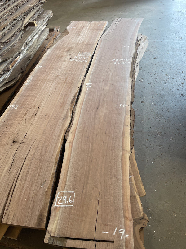 Black Walnut #BW002