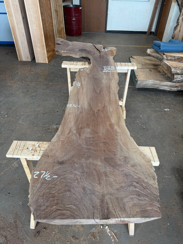 Black Walnut #BW1707