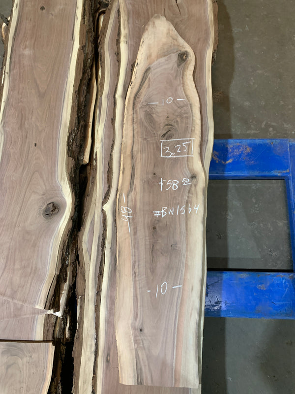 Black Walnut #BW1564