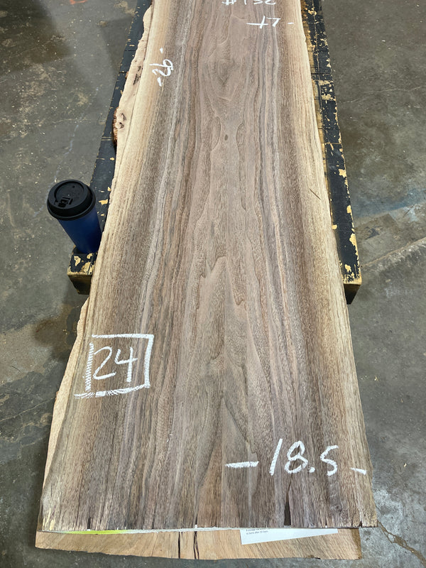 Black Walnut #BW15249