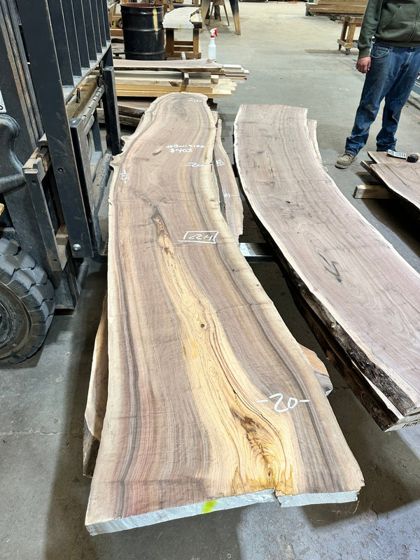Black Walnut #BW15152