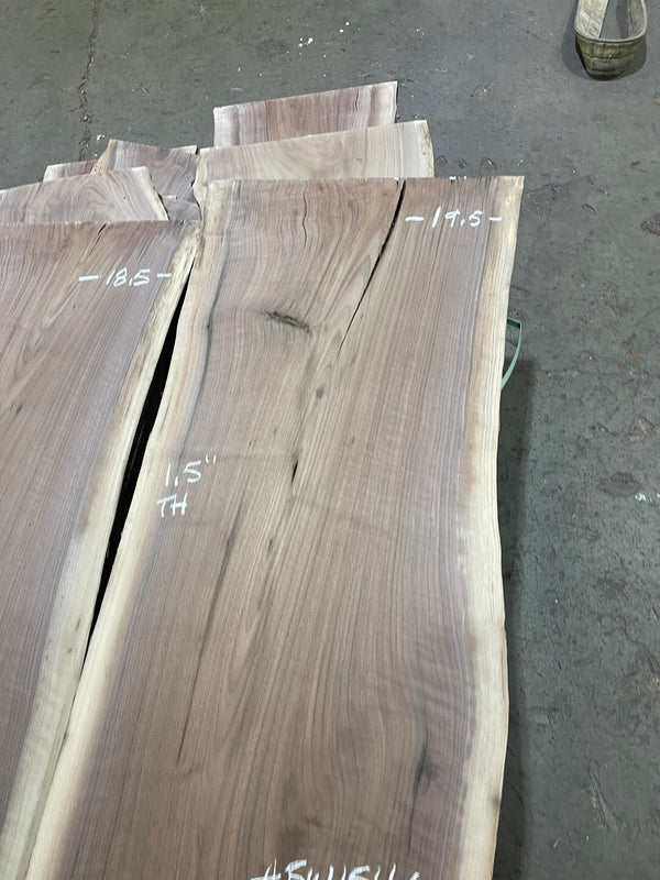 Black Walnut #BW1546