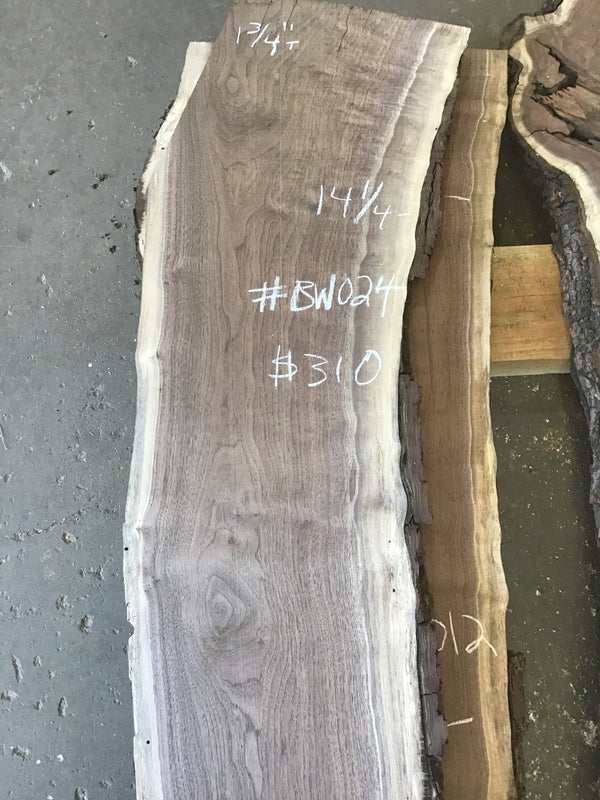 Black Walnut #BW024