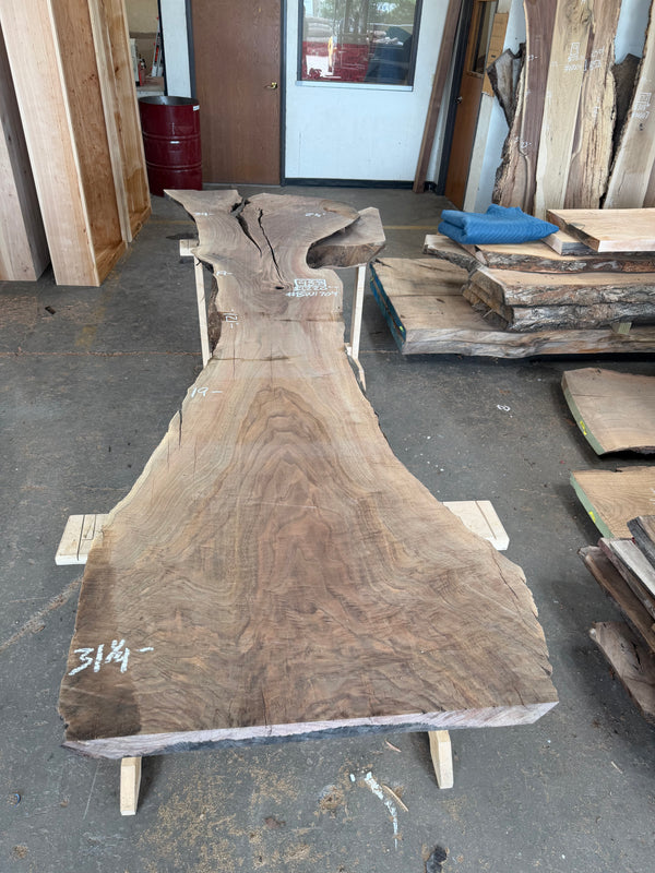 Black Walnut #BW1704