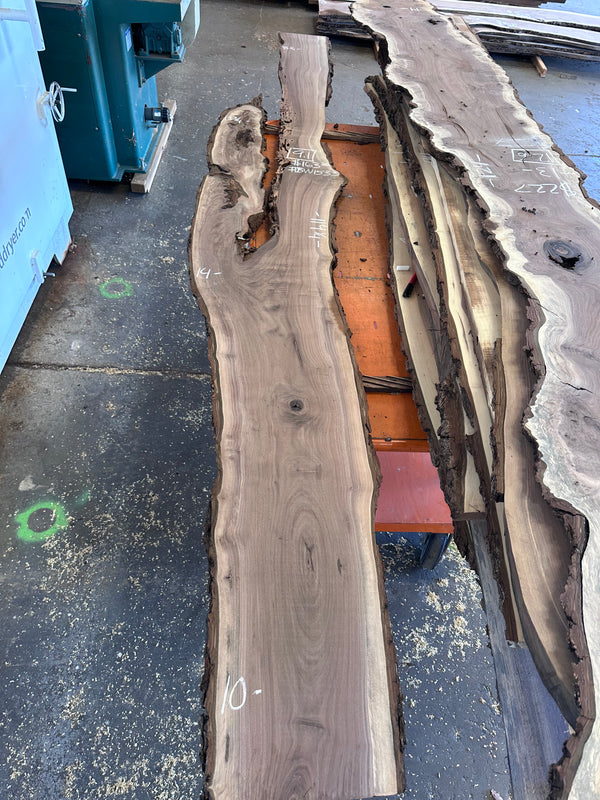 Black Walnut #BW1533