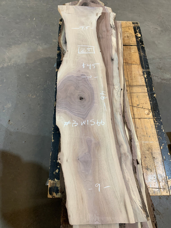 Black Walnut #BW1566