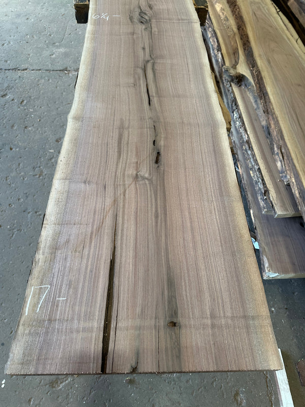 Black Walnut #BW1516