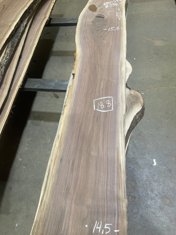 Black Walnut #BW1598
