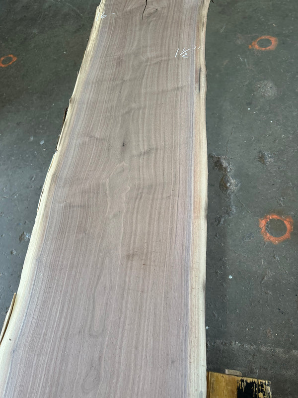 Black Walnut #BW1534