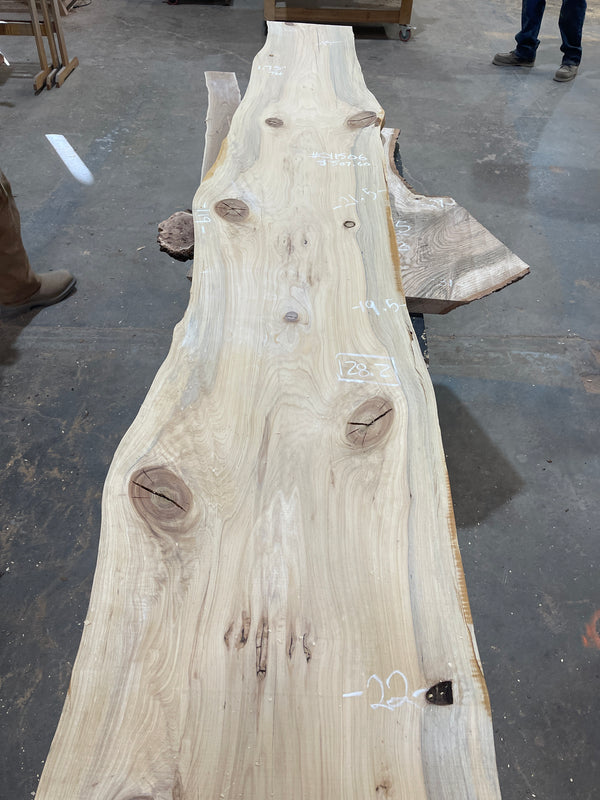 Cypress #CY1506