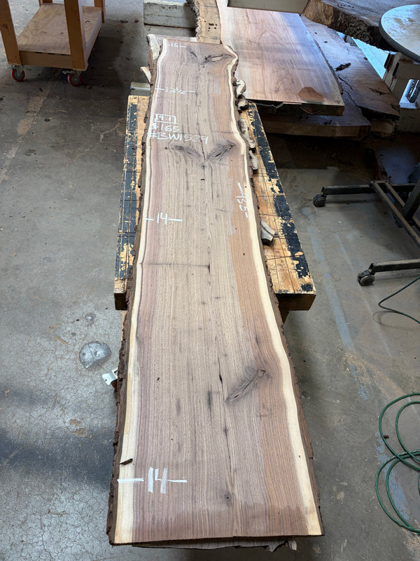 Black Walnut #BW1524
