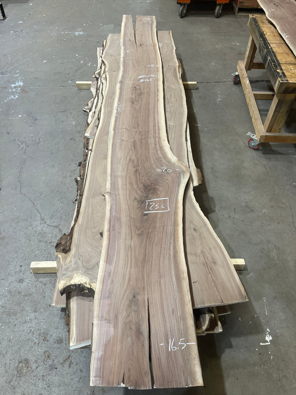 Black Walnut #BW1561