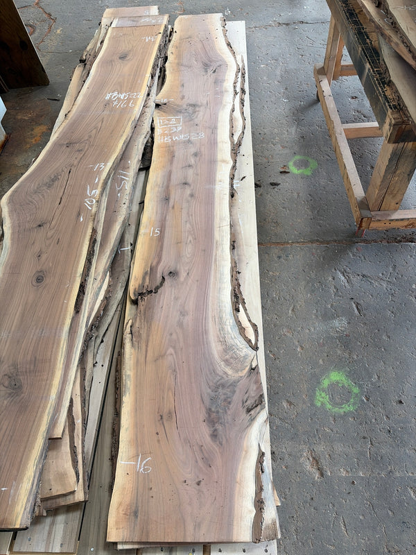 Black Walnut #BW1528