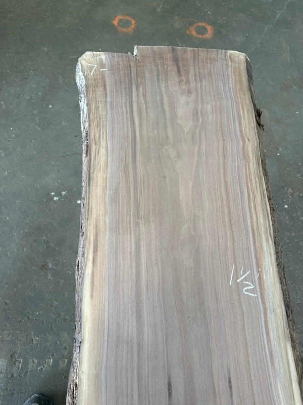 Black Walnut #BW1536