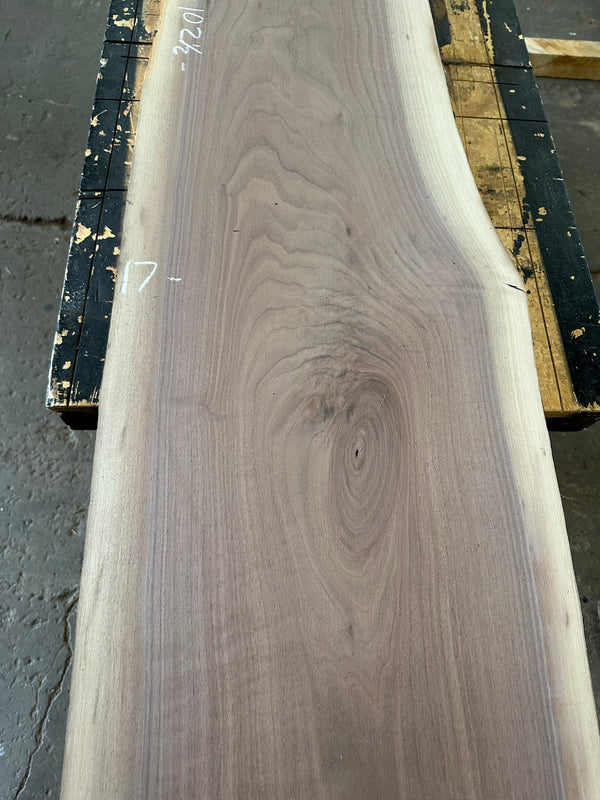 Black Walnut #BW1537