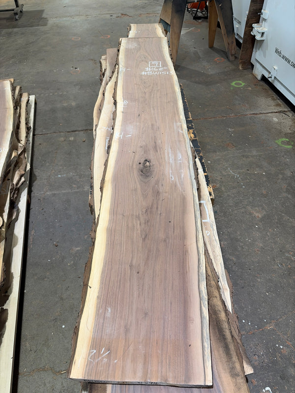 Black Walnut #BW1513