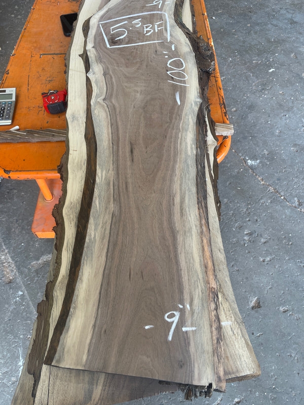 Black Walnut Slab #BW103