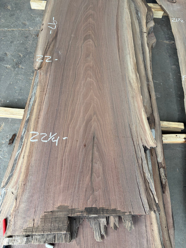 Black Walnut #BW1717