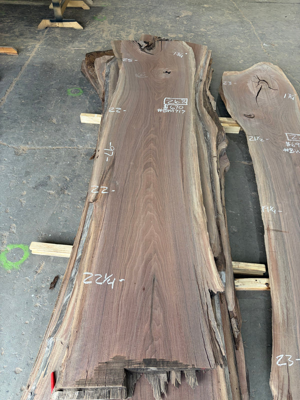 Black Walnut #BW1717