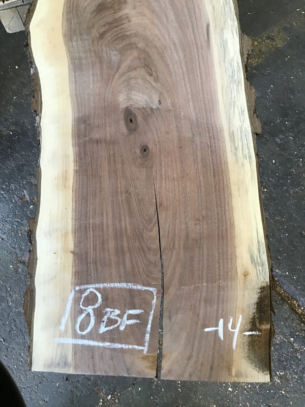 Black Walnut Slab #BW15206