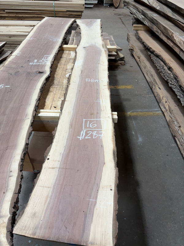 Black Walnut #BW1571