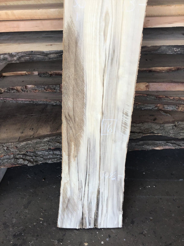 Hackberry #HB109