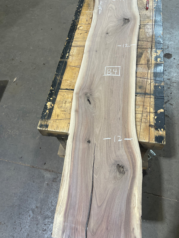 Black Walnut #1579