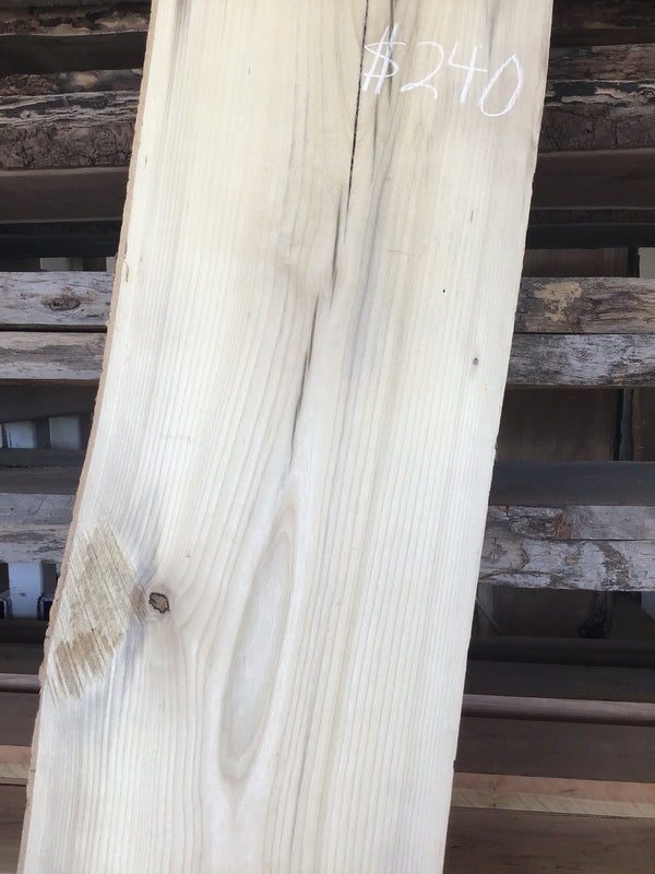 Hackberry #HB109