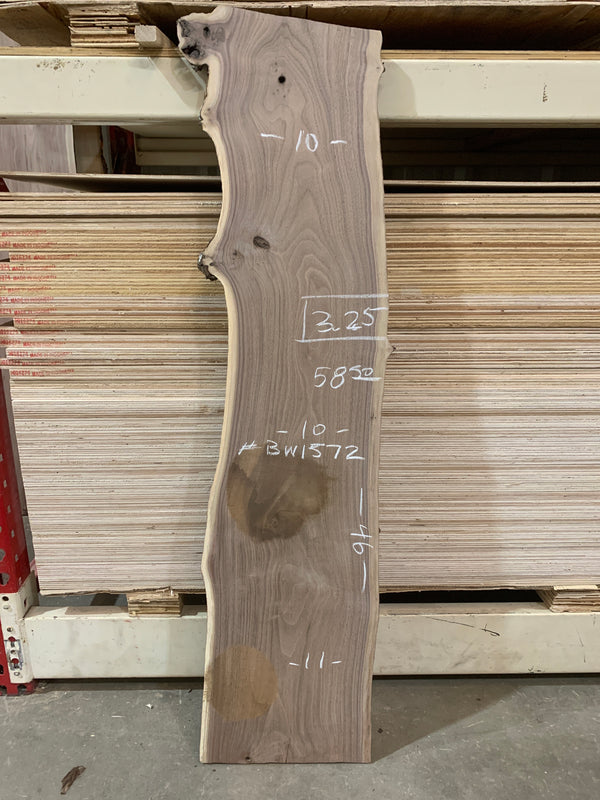 Black Walnut #BW1572
