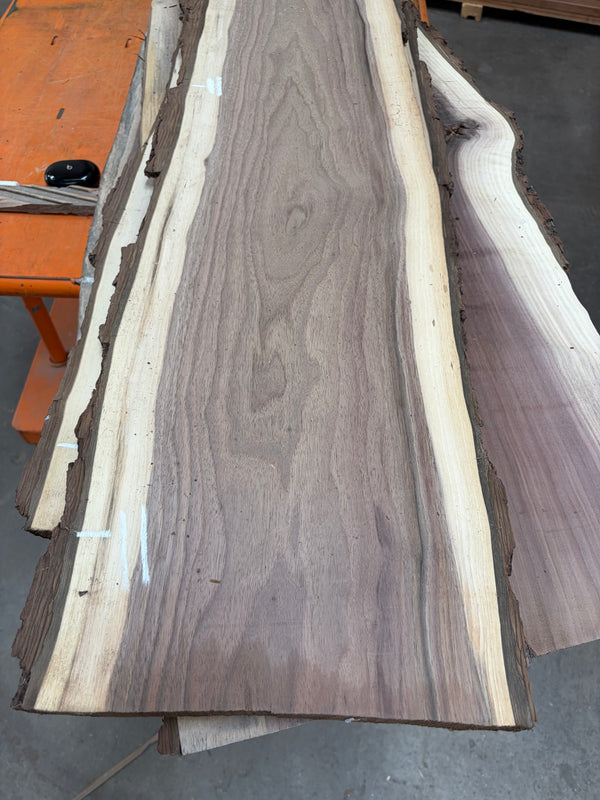 Black Walnut #BW1552