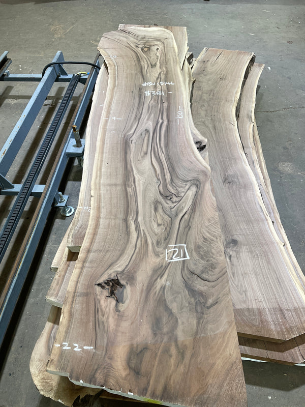 Black Walnut #BW15146