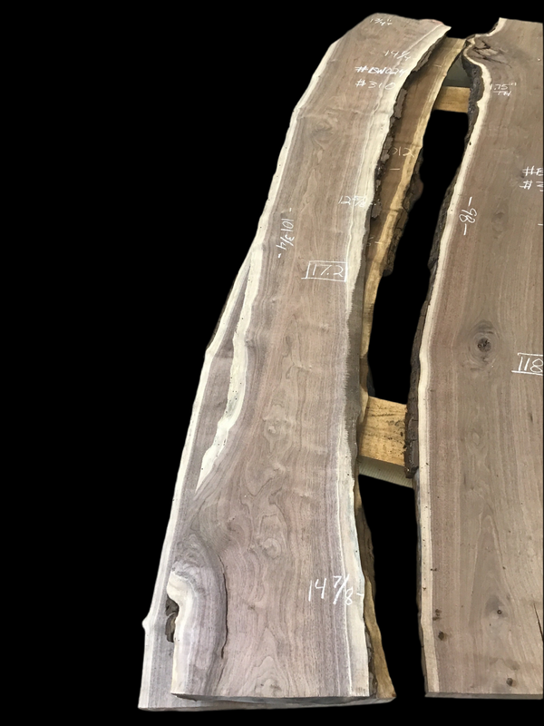 Black Walnut #BW024