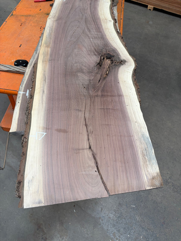 Black Walnut #BW1555
