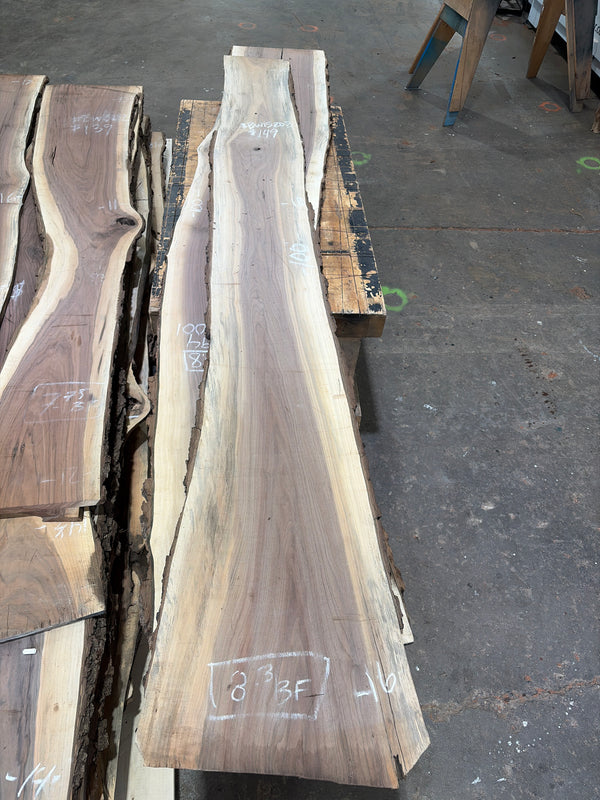 Black walnut #BW15205