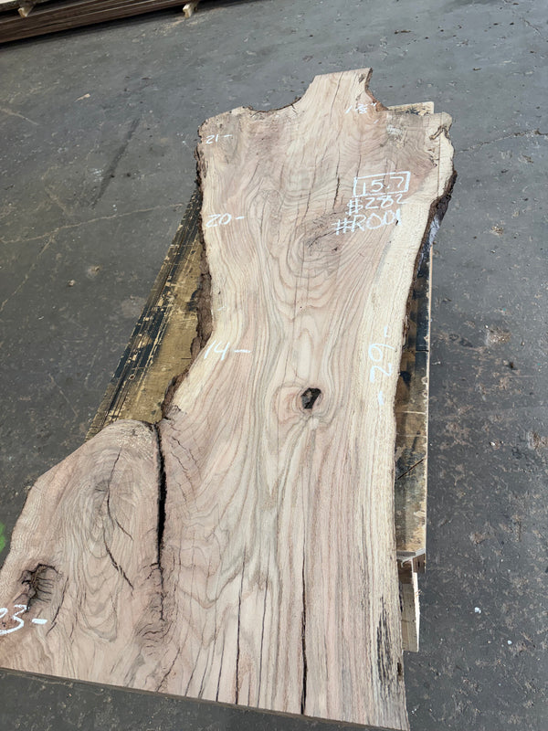Red oak #RO01