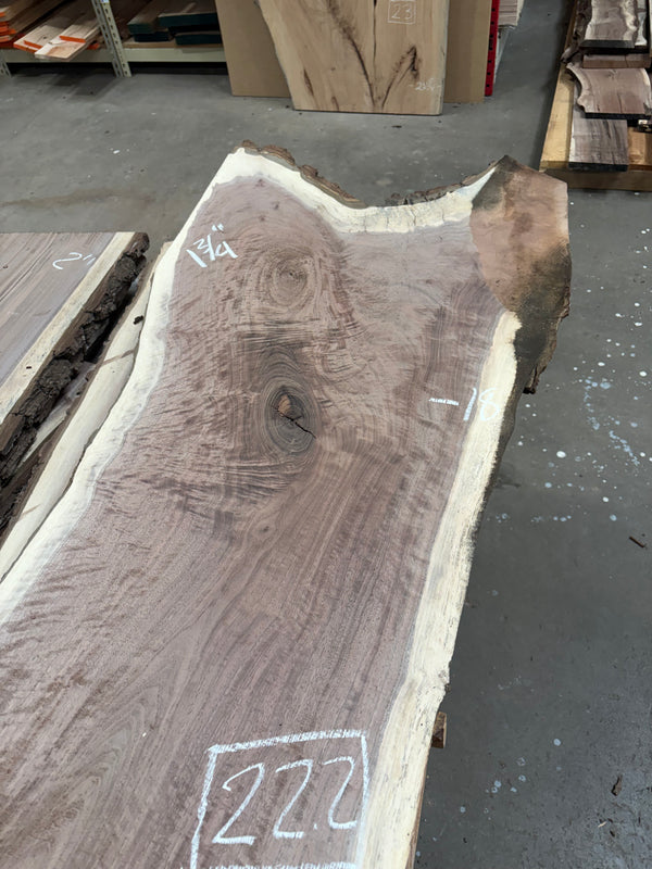 Black Walnut #BW1568