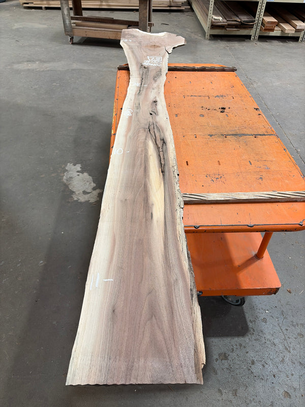 Black Walnut #BW02