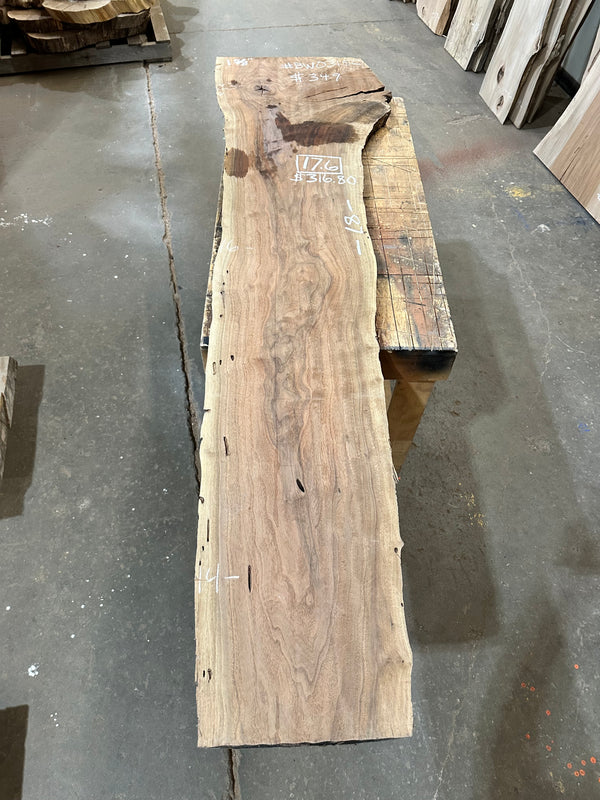 Black Walnut #BW031SC