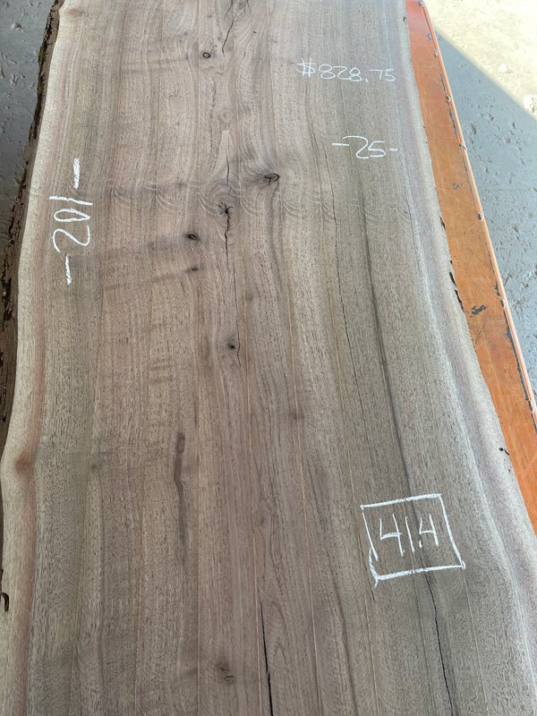 Black Walnut #BW905