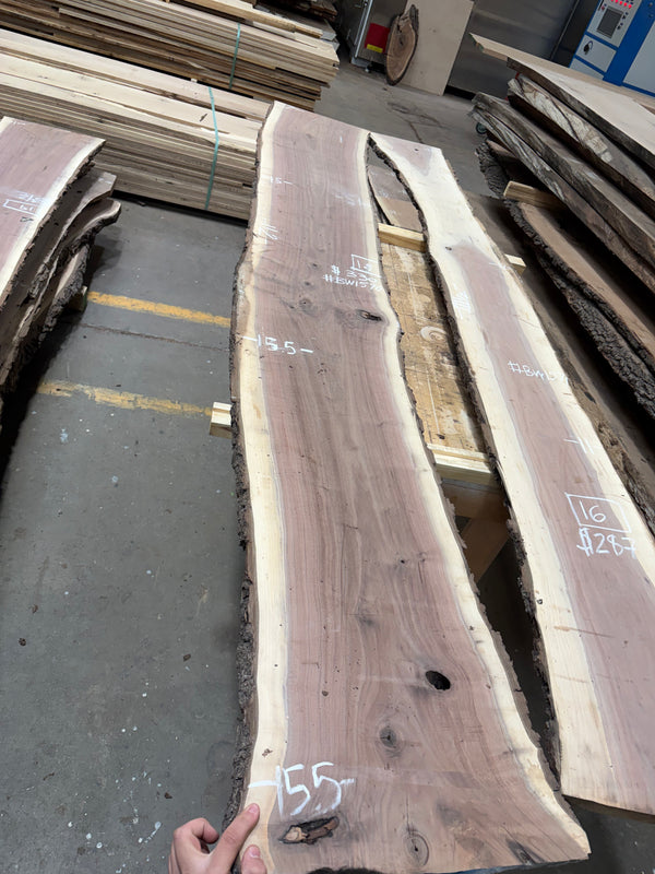 Black Walnut #BW1570