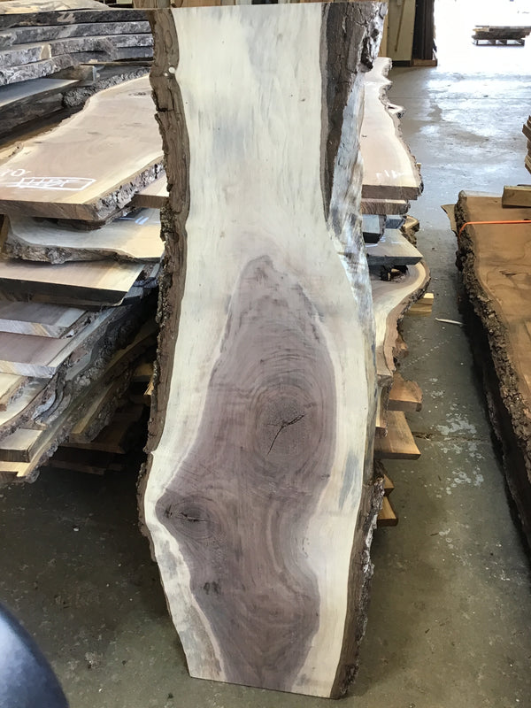 Black Walnut Slab #BW15248