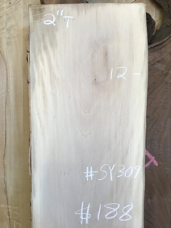 Sycamore #SY309