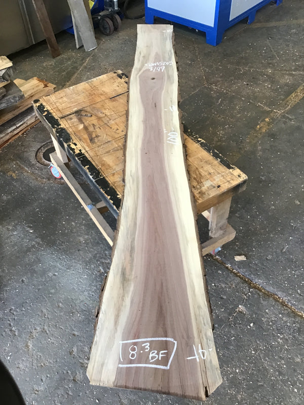Black Walnut Slab #BW15205