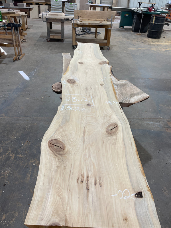 Cypress #CY1506