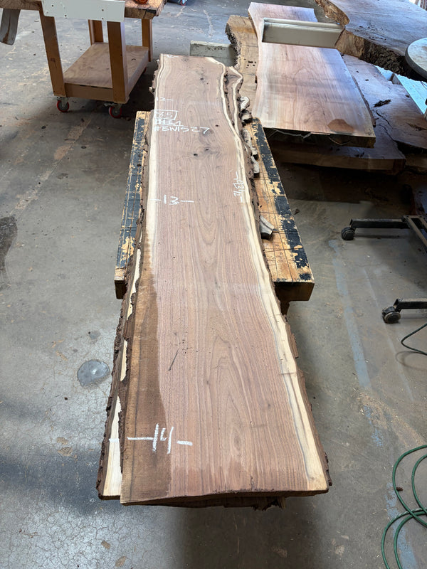 Black Walnut #BW1527