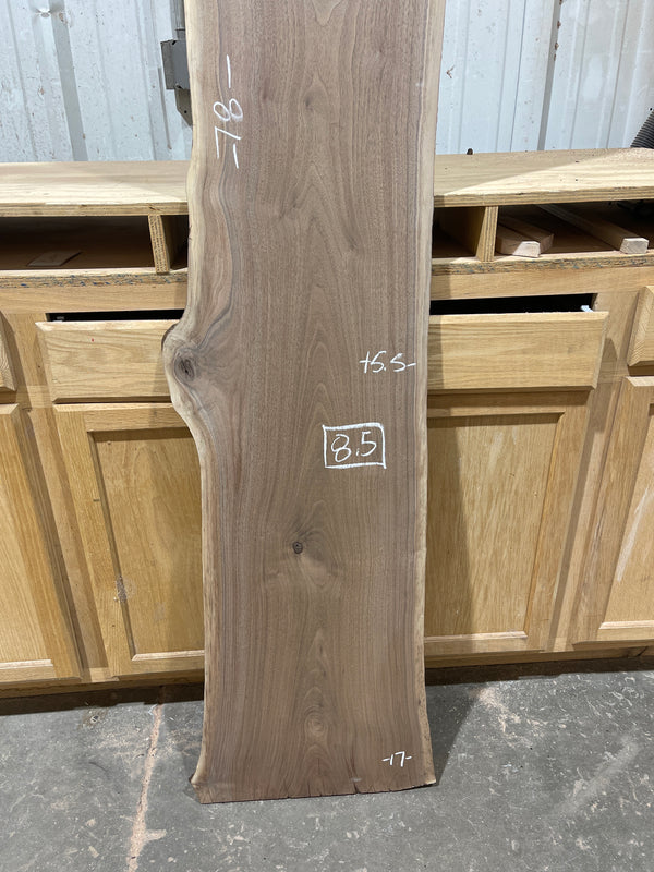 Black Walnut #BW1588