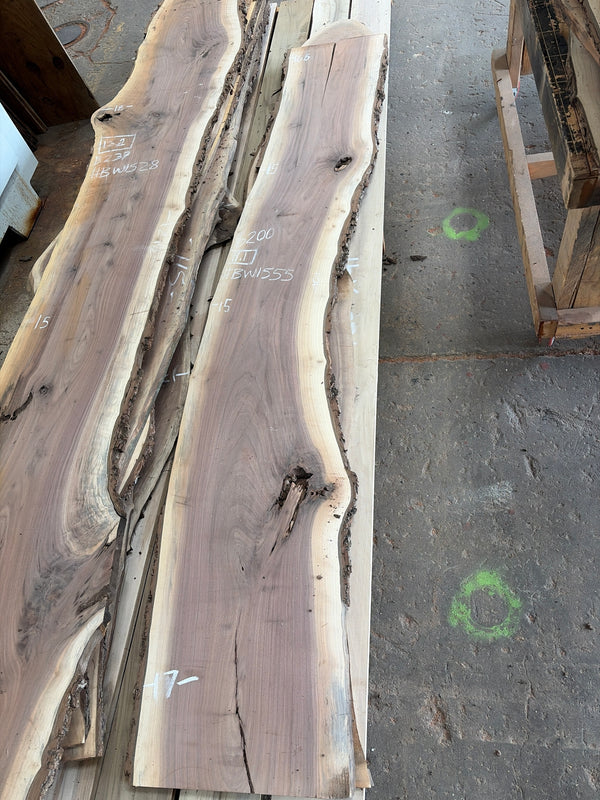 Black Walnut #BW1555