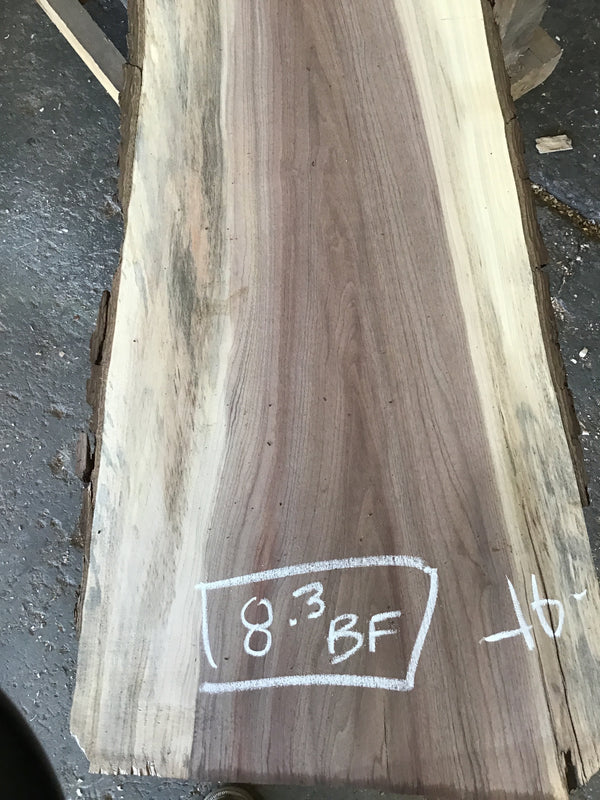 Black Walnut Slab #BW15205