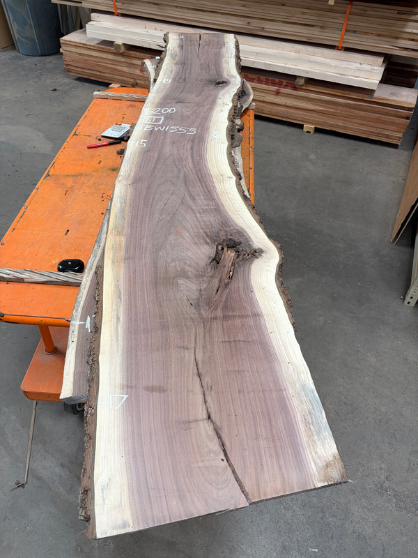 Black Walnut #BW1555