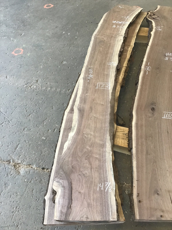 Black Walnut #BW024
